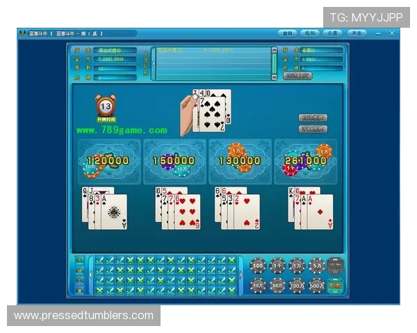 百家乐怎么玩教程详解新手入门指南让你轻松掌握百家乐玩法技巧